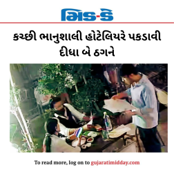 કચ્છી ભાનુશાલી હોટેલિયરે પકડાવી દીધા બે ઠગને